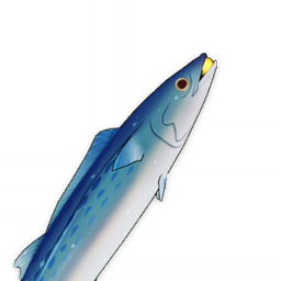 Luxurious Sea-Lord Luxurious Sea-Lord